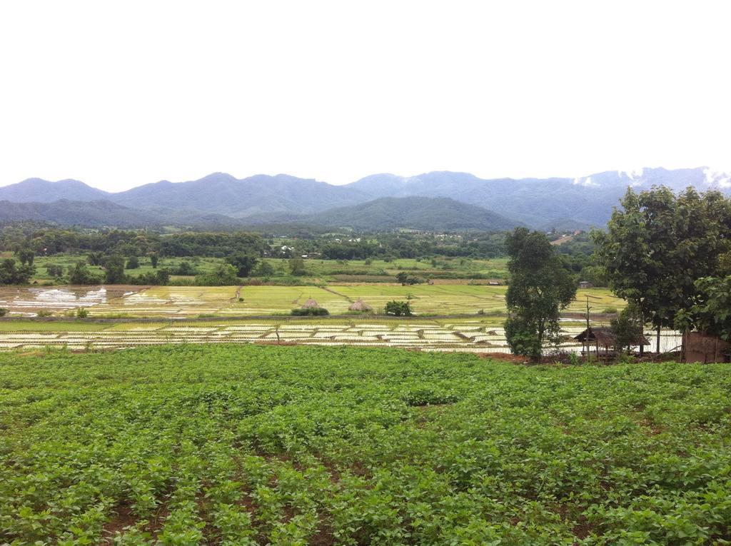 Chang Pai Garden (Adults Only) Ngoại thất bức ảnh