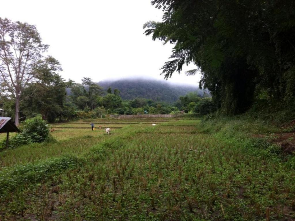 Chang Pai Garden (Adults Only) Ngoại thất bức ảnh