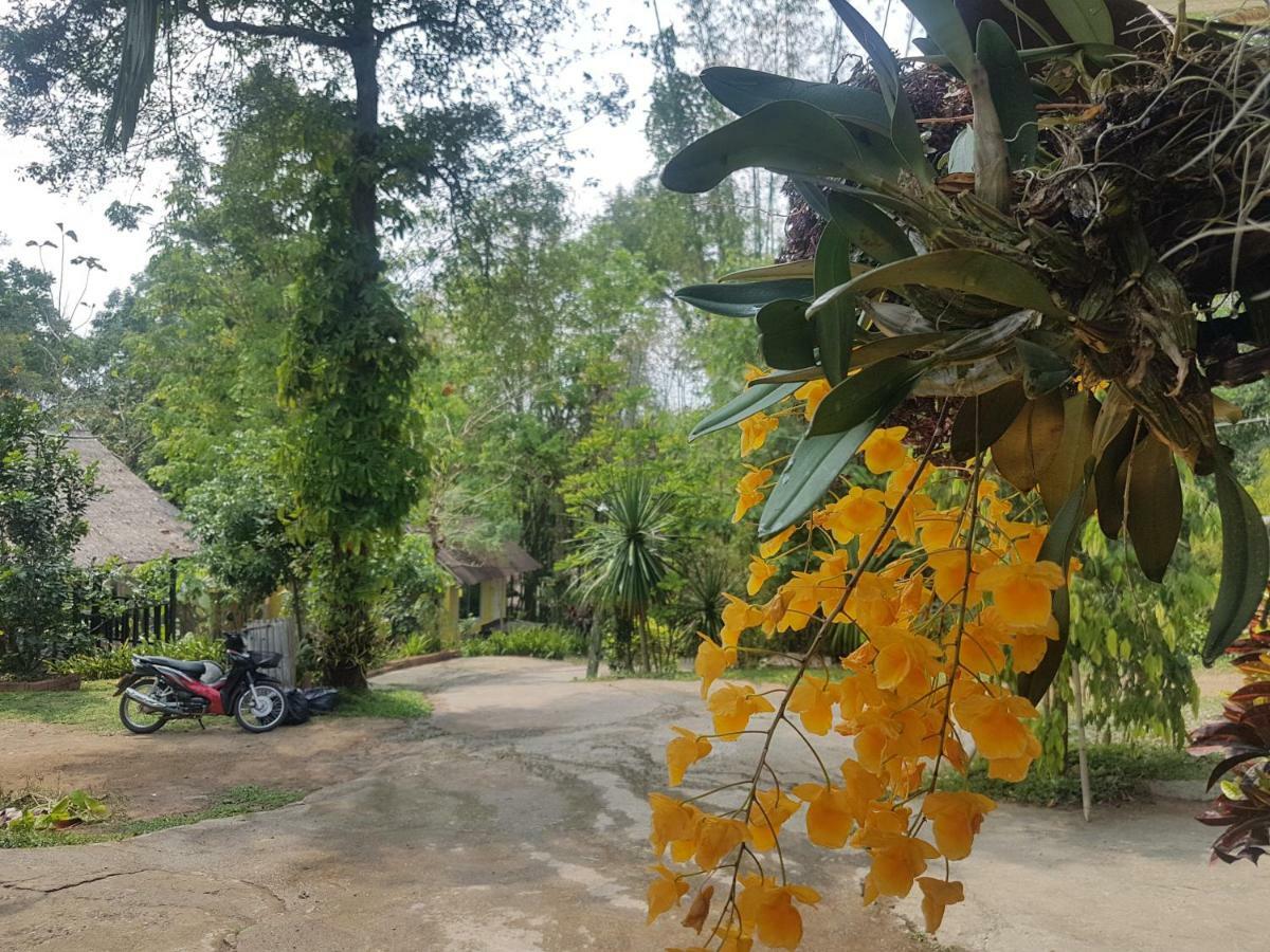 Chang Pai Garden (Adults Only) Ngoại thất bức ảnh